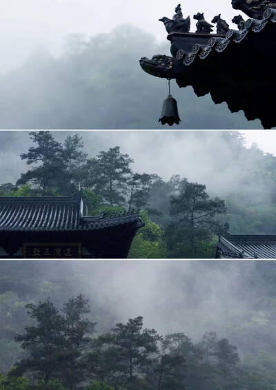 等春光烂漫，忆似水流年
Photo by BaiYuan
摄于 九皇山 武夷山 ​​​
Cr白原的遠方
图源微博(侵权删)