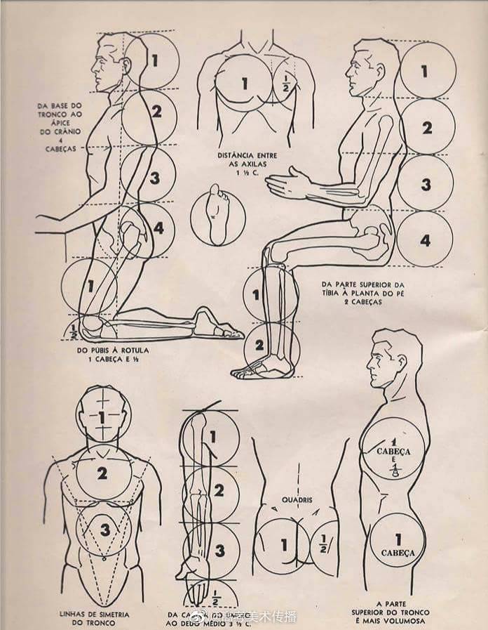 人体结构