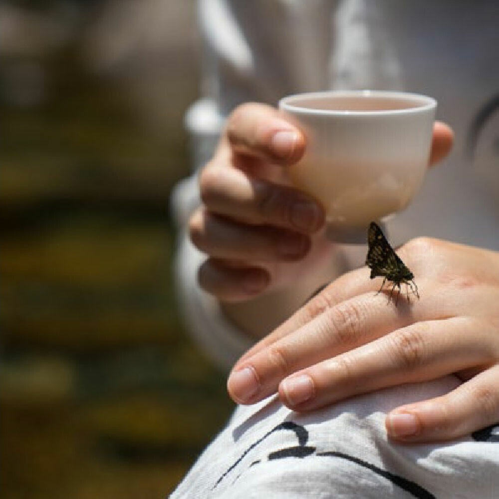 喝茶，本是轻事，喝起来无需刻意而为。茶道、茶艺、复杂器皿，皆可放下，只需一杯清水的呼唤，便可清茶留齿，回味久远。 