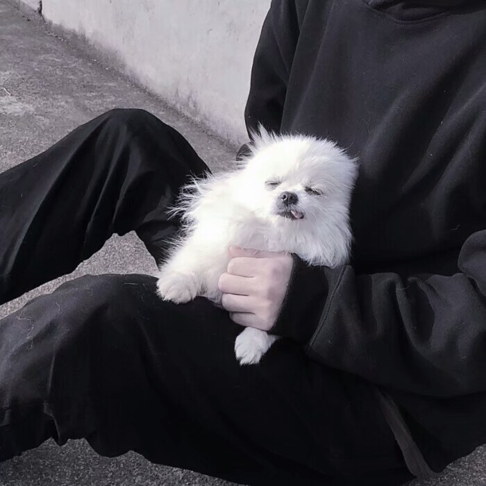 优质混网玩网男头