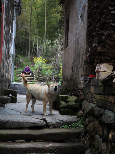 零落闲边句，逍遥事外身。村东褚草蕈，一笑得常珍。