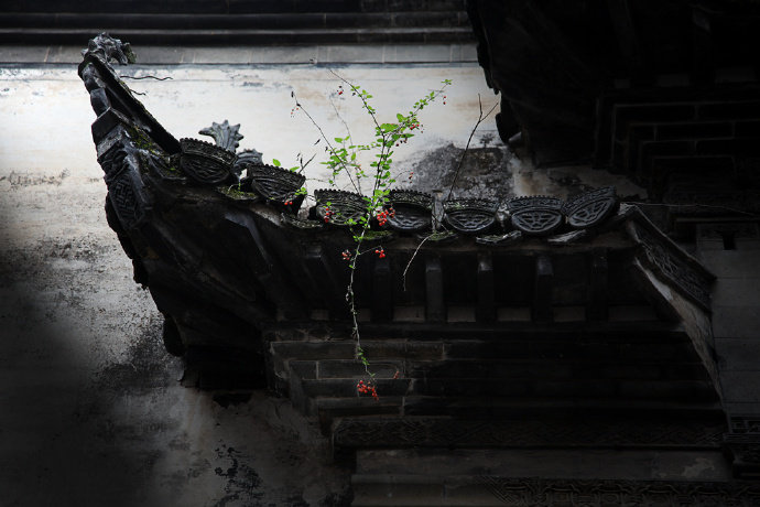 零落闲边句，逍遥事外身。村东褚草蕈，一笑得常珍。