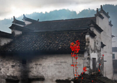 零落闲边句，逍遥事外身。村东褚草蕈，一笑得常珍。