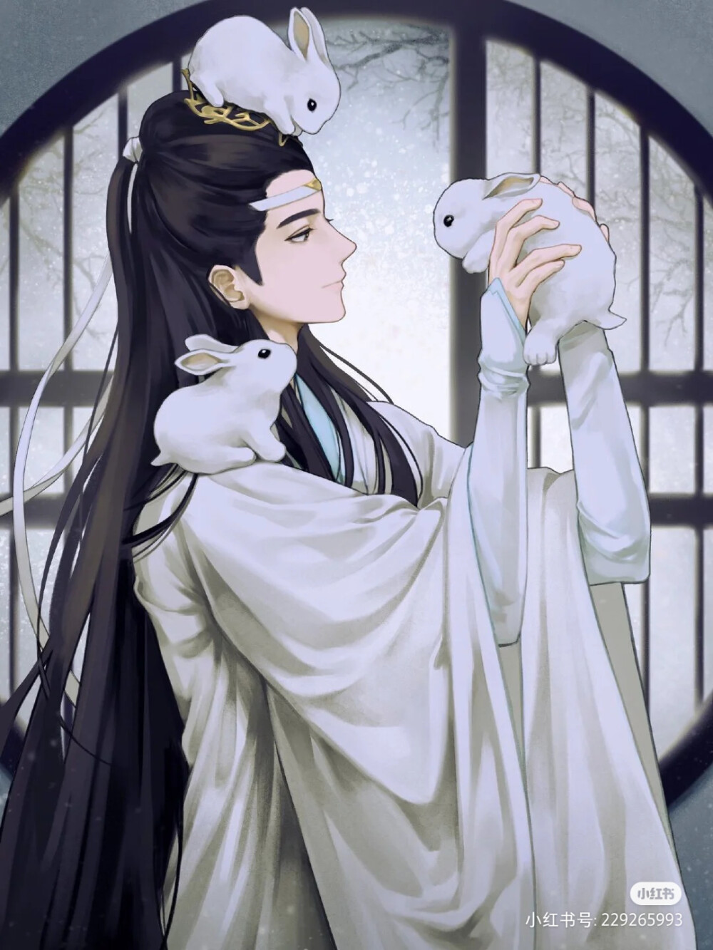 魔道祖师 陈情令 蓝忘机