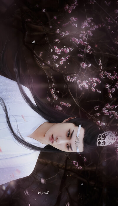 烟波里的棠～