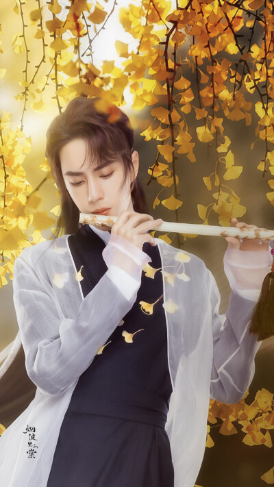 烟波里的棠～