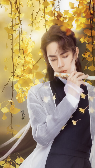 烟波里的棠～