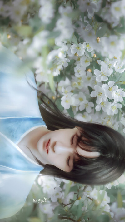烟波里的棠