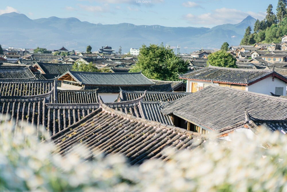 “在屋顶唱着你的歌~~”
图源 微博 顶尖摄影观赏