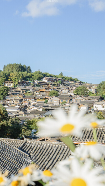 “在屋顶唱着你的歌~~”
图源 微博 顶尖摄影观赏