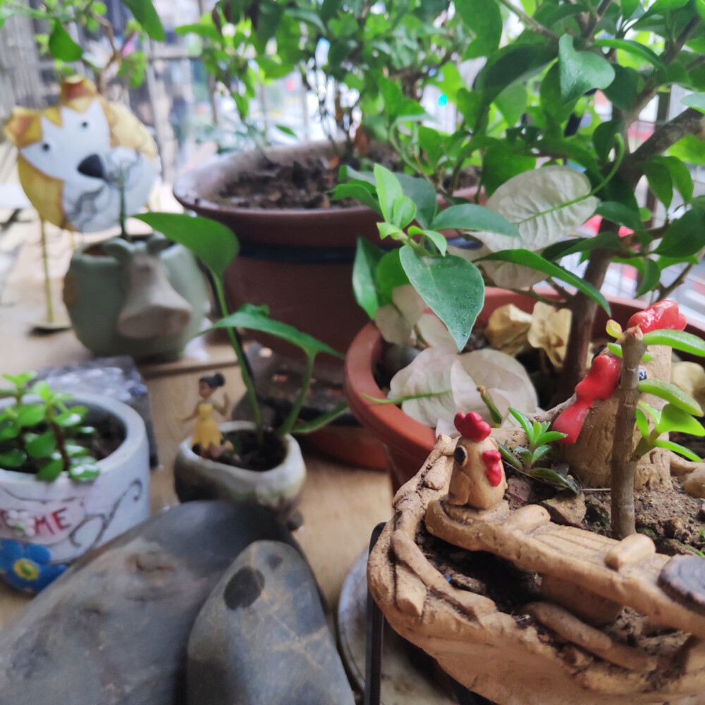 下雨天