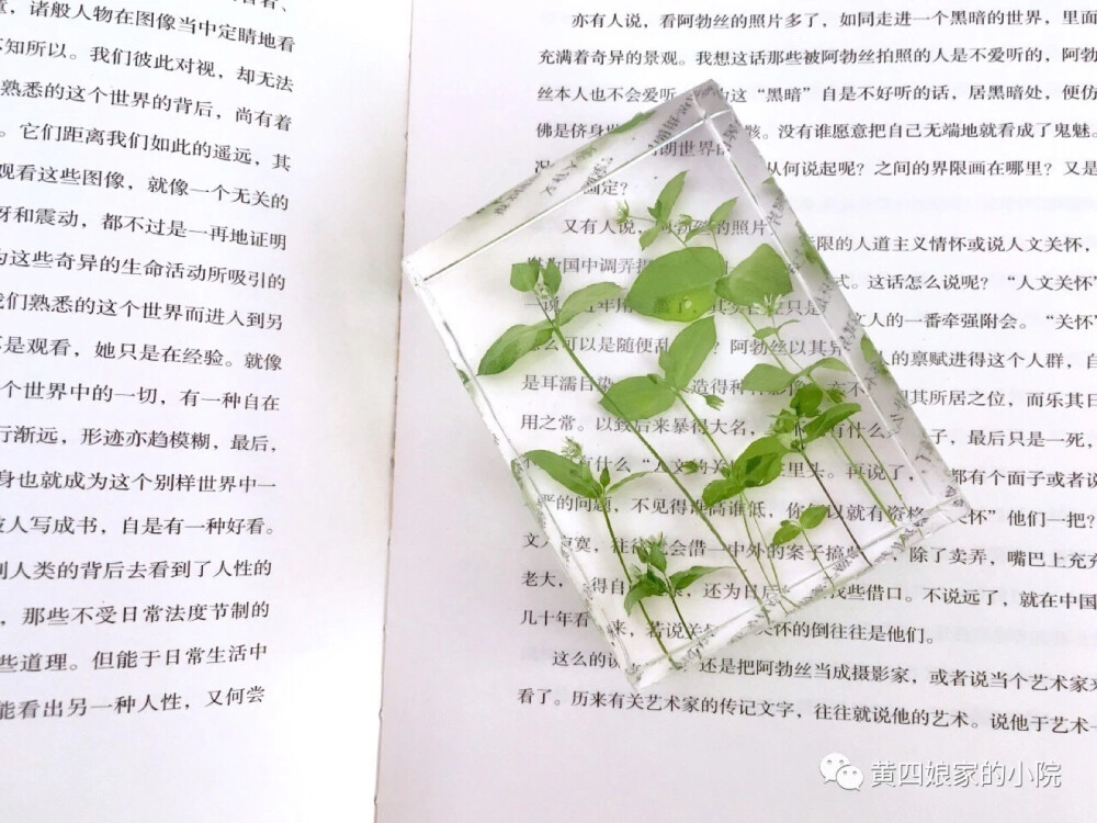 滴胶 植物 教程见水印