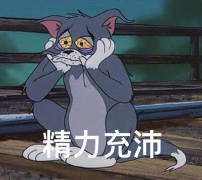 汤姆猫