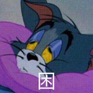 汤姆猫