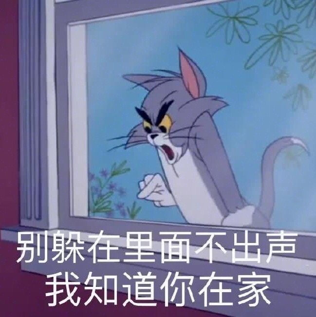 汤姆猫