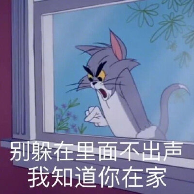 汤姆猫