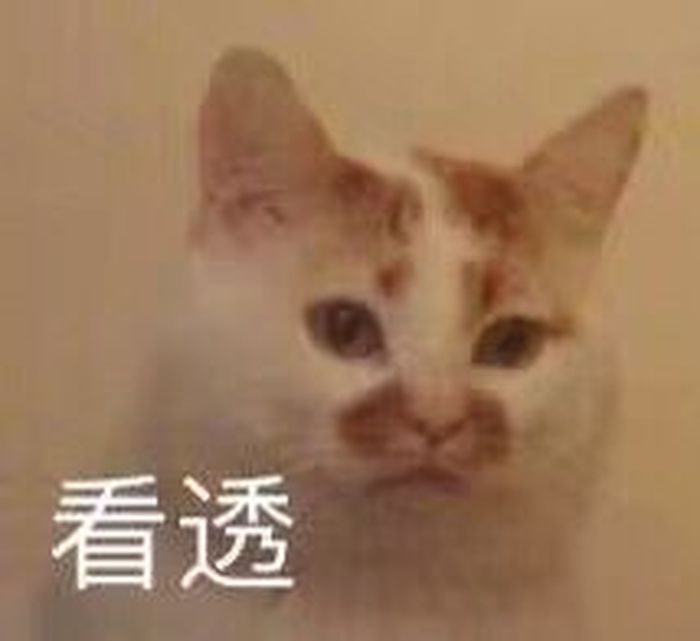 猫咪宝贝(๑˙❥˙๑)