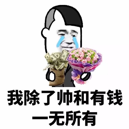 我除了帅和有钱一无所有