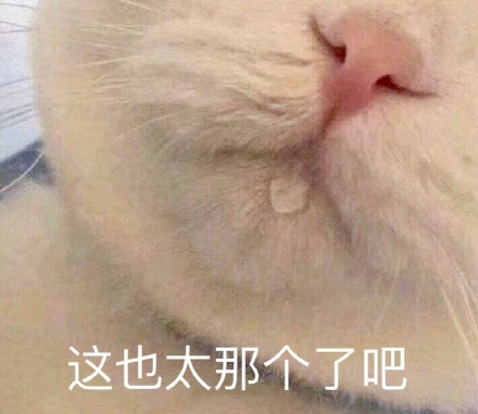 这也太那个了吧（猫咪流口水表情包）