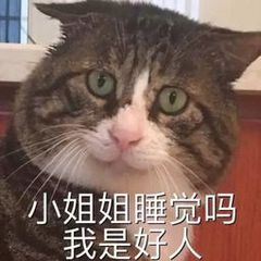 小姐姐睡觉吗我是(猫咪撩妹表情包)