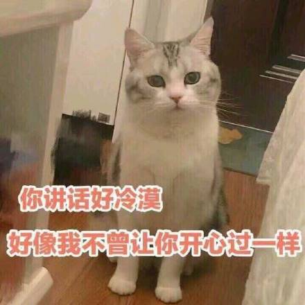 你讲话好冷漠，好像我不曾让你开心过一样（猫咪）