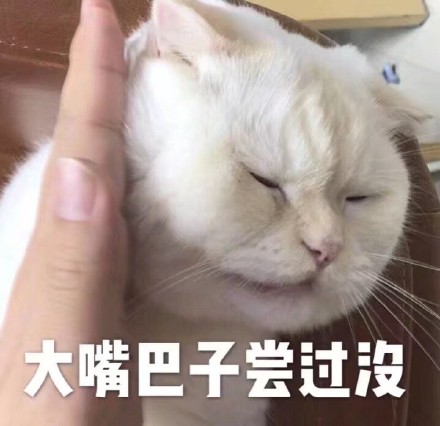 大嘴巴子尝过没（猫咪）