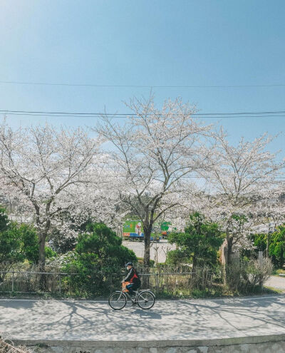 春天有樱花味的天空
以及一勺浓郁的風♡