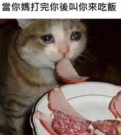 流泪猫猫头