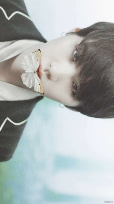  我就是传个照片怎么还得编文案