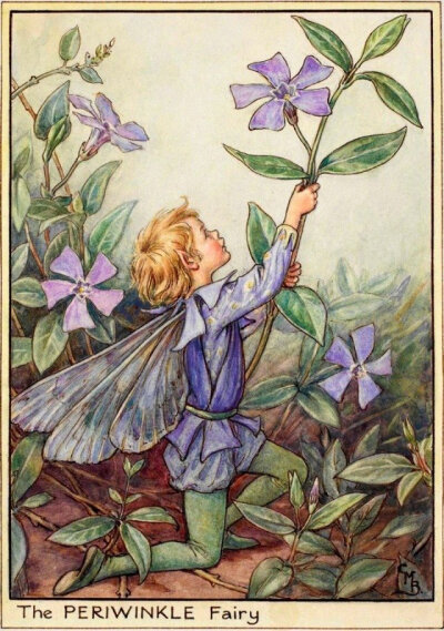 你好啊，花仙子。作者：Cicely Mary Barker