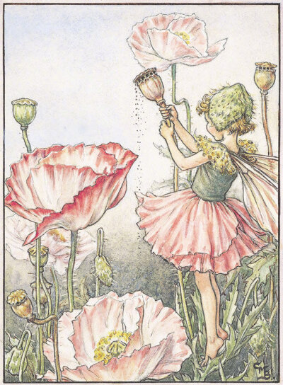 你好啊，花仙子。作者：Cicely Mary Barker