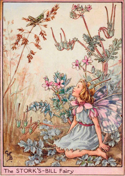 你好啊，花仙子。作者：Cicely Mary Barker