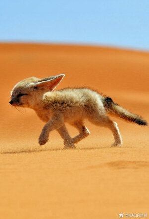 生活奇奇怪怪，我得可可爱爱