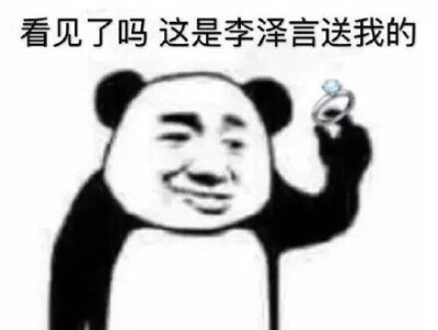 看见了吗这是李泽言送我的