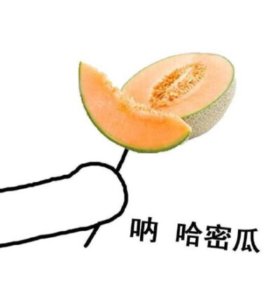 呐 哈密瓜