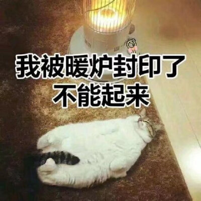 我被暖炉封印了不能起来