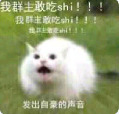 我群主敢吃shi!!!我群主敢吃shi!!我主做乏h!L发出自豪的声音