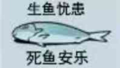 必胜聊天