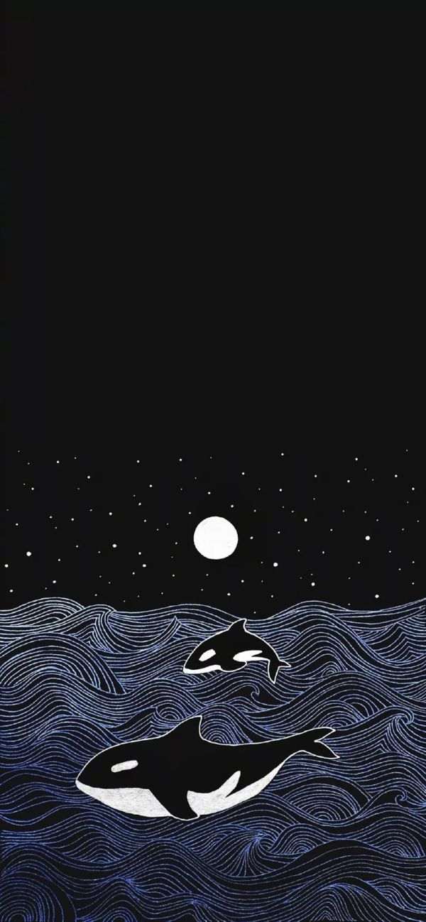 星河滚烫
你是人间理想.
