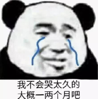 熊猫头 可爱