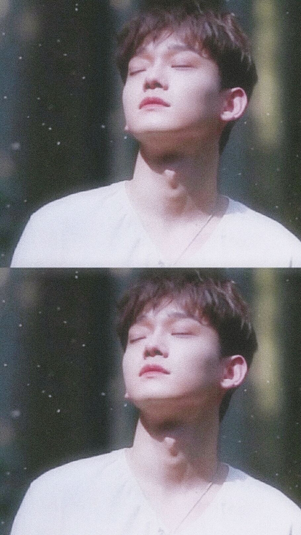 动漫 可爱 金钟大