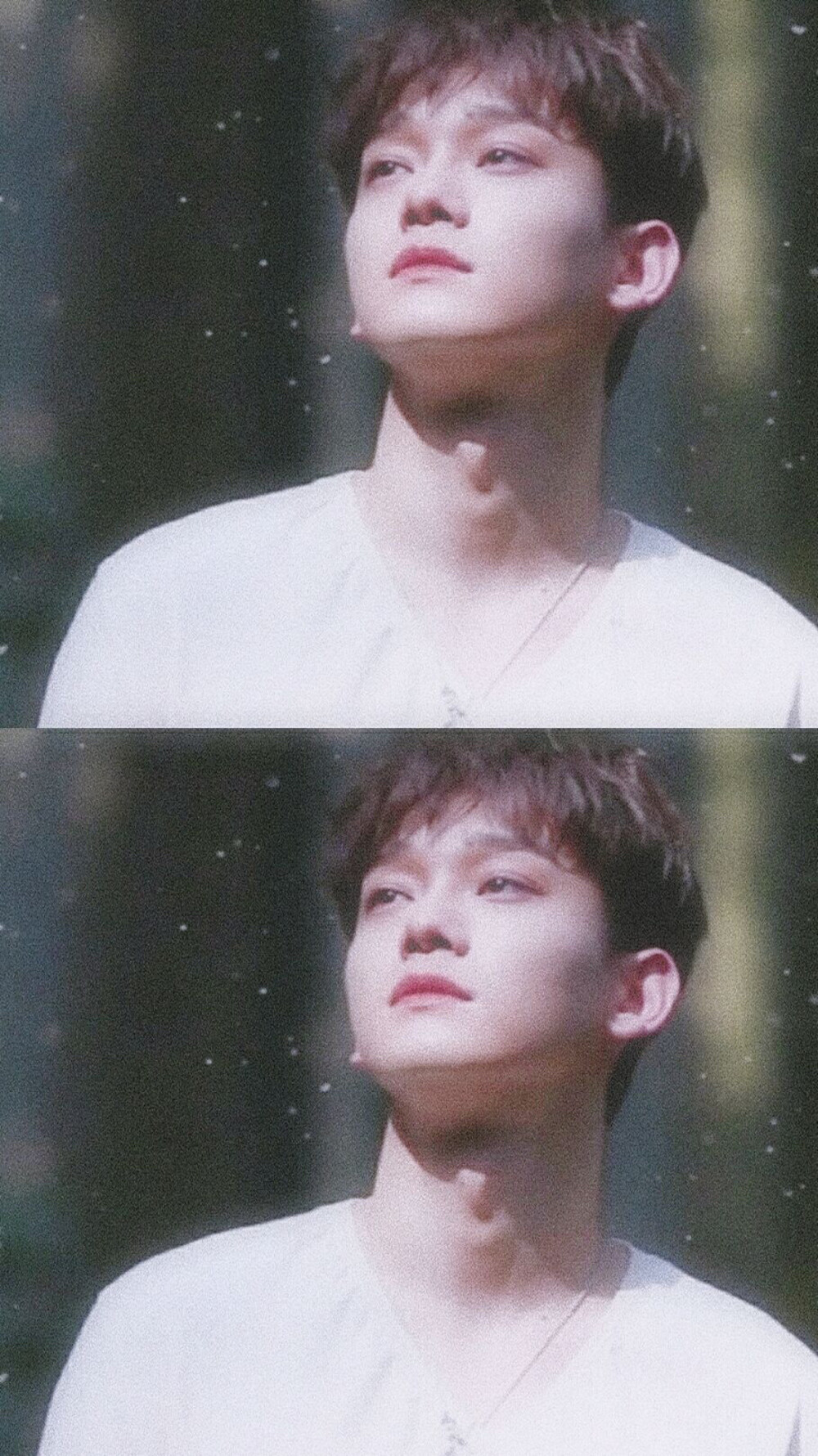 动漫 可爱 金钟大