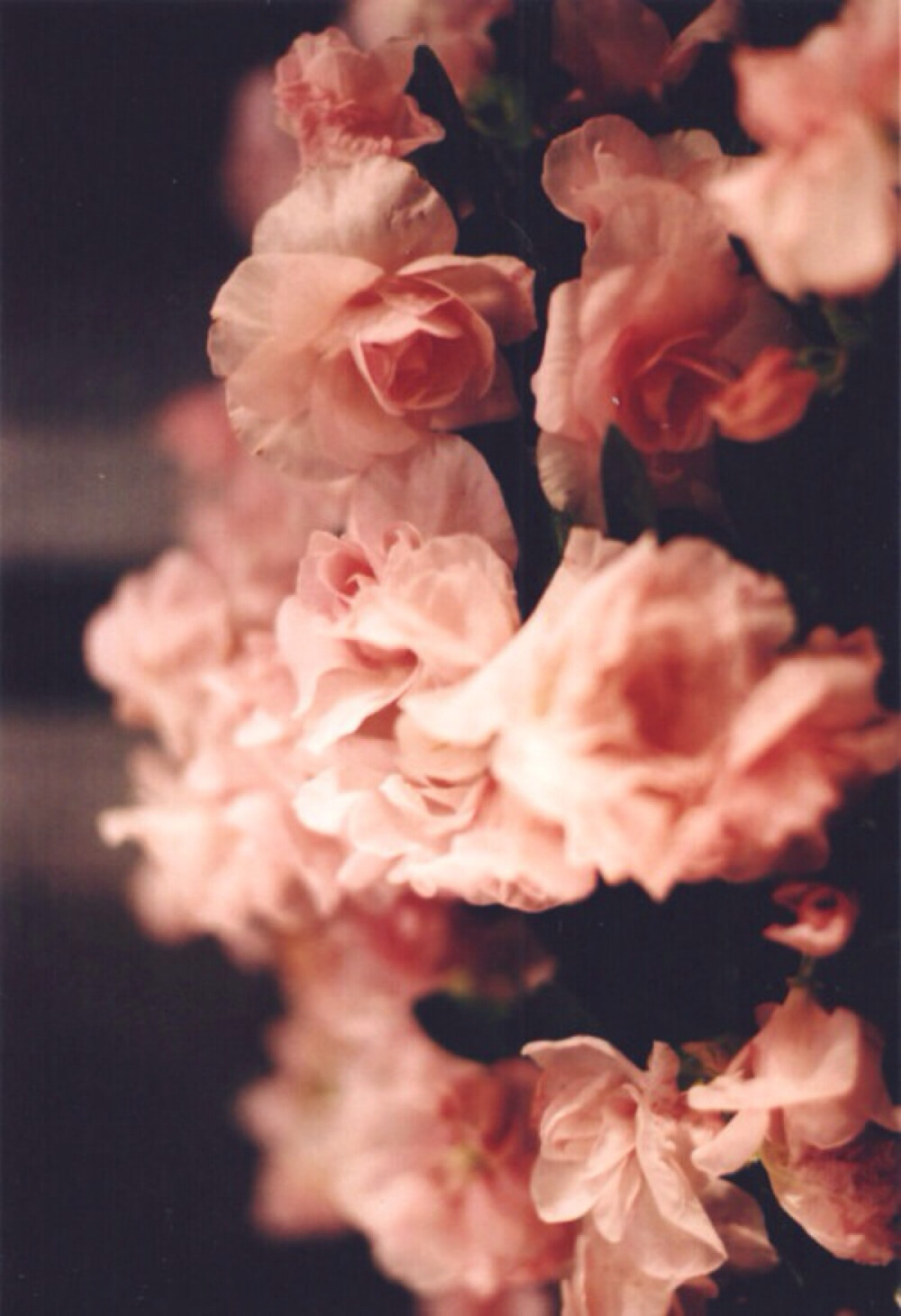 半生都做烂泥
连哭都怕失礼