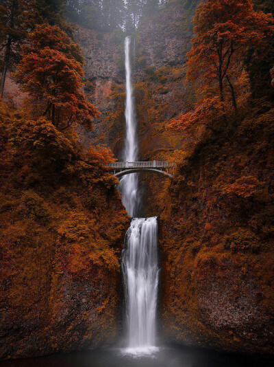 Falls of Rivendell (by Max Foster) #美景# ​​​