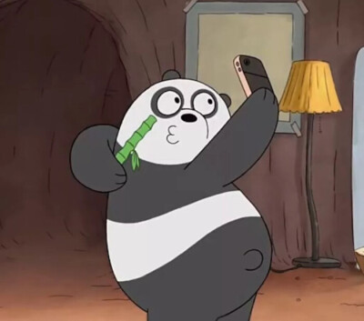 热血灰熊Grizzly
宅男熊猫Panda
全能白熊Ice Bear
,,,