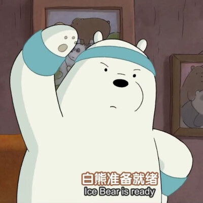 热血灰熊Grizzly
宅男熊猫Panda
全能白熊Ice Bear
,,,