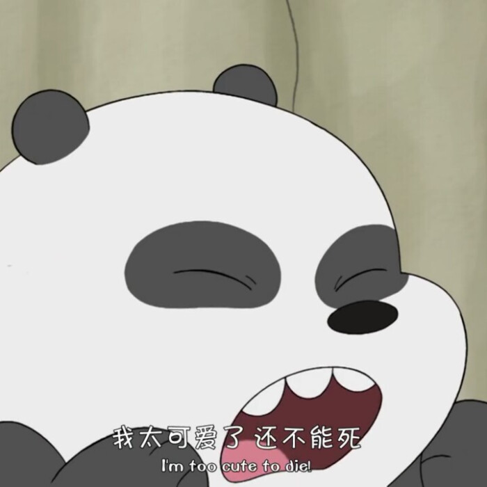 热血灰熊Grizzly
宅男熊猫Panda
全能白熊Ice Bear
,,,