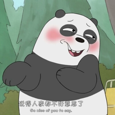 热血灰熊Grizzly
宅男熊猫Panda
全能白熊Ice Bear
,,,