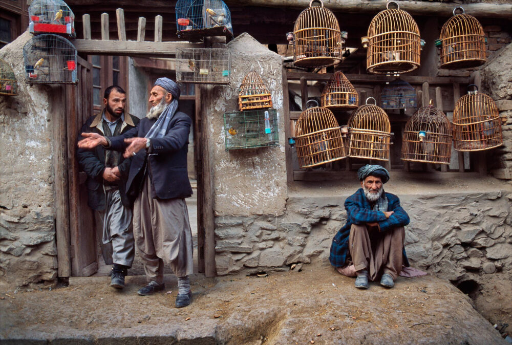 afghanistan 史蒂夫·麦凯瑞