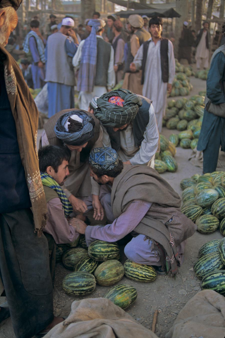 afghanistan 史蒂夫·麦凯瑞